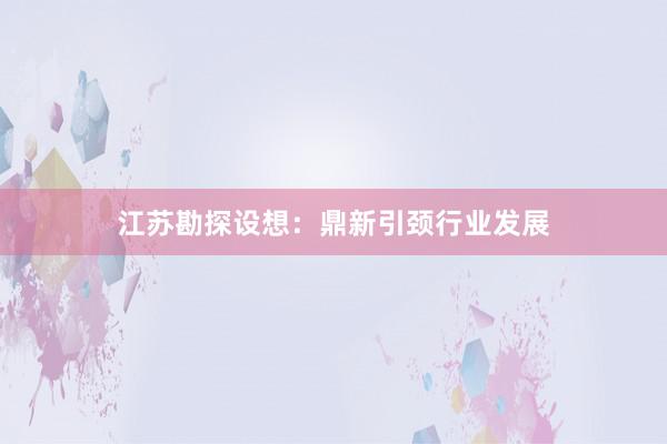江苏勘探设想:鼎新引颈行业发展